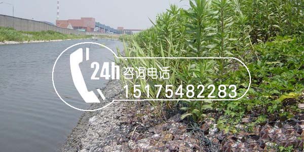 河道整治格賓網(wǎng)