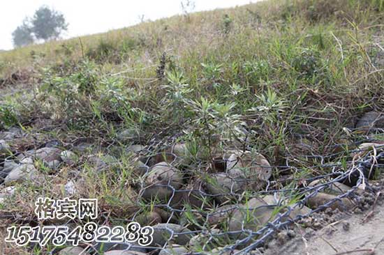 岸坡整治格賓網