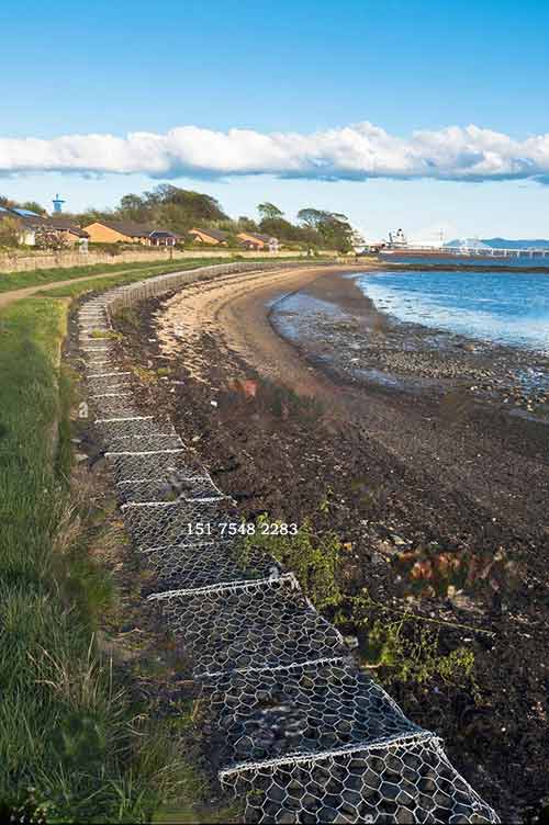雙隔板雷諾護(hù)墊