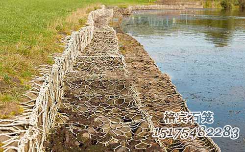 鍍高爾凡格賓網(wǎng)