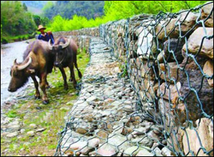 河道護坡綠格網
